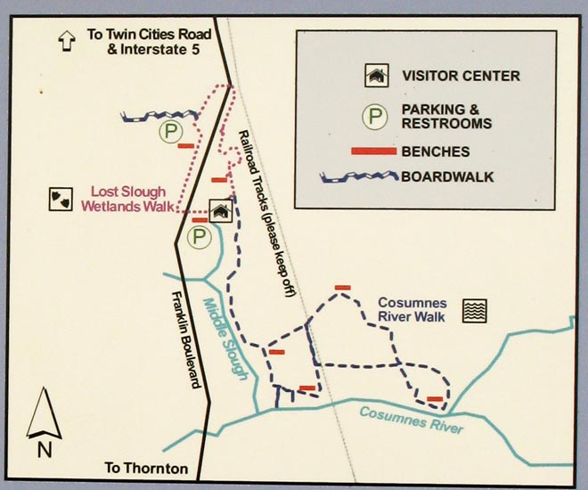 California Wildflower hikes, Skyline Park, Cosumnes River Preserve